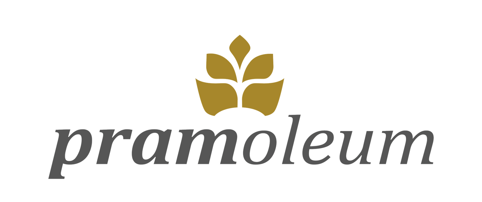 Pramoleum Vertriebs GmbH